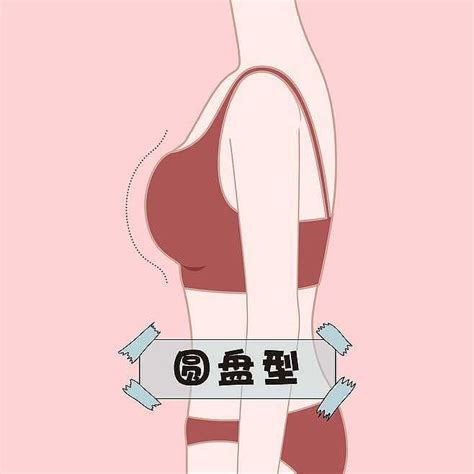 理论上什么胸型最好看、最能吸引人？ .